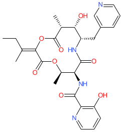 Click here for ligand page